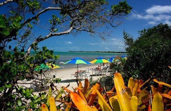 Macuco Praia Ecologica